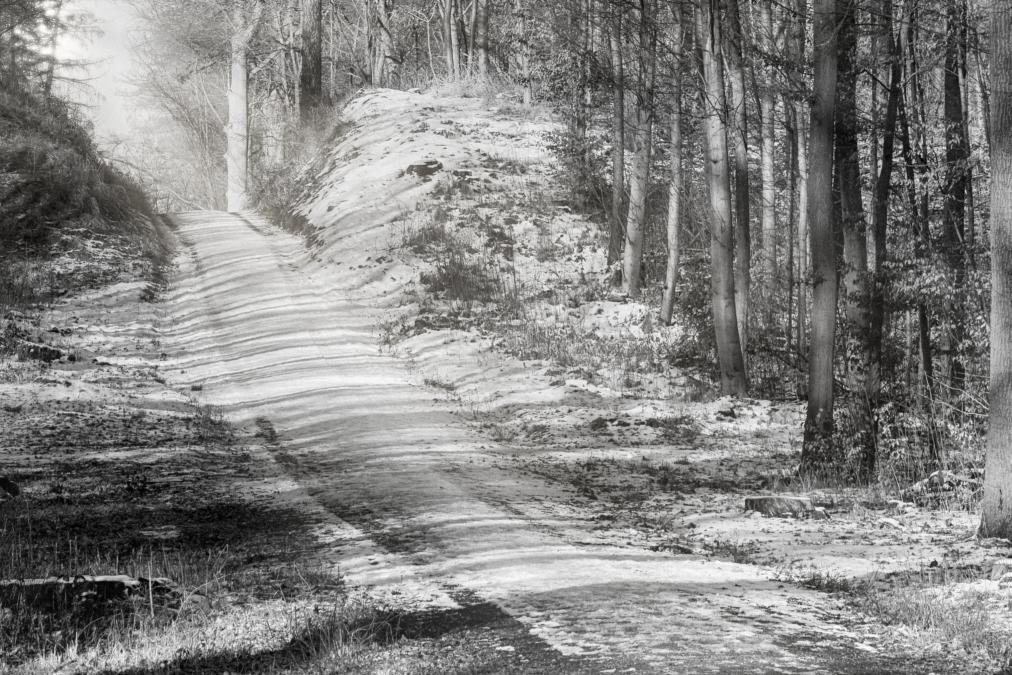 Auf dem Weg