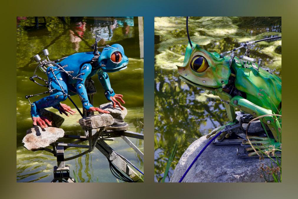 Froschperspektive